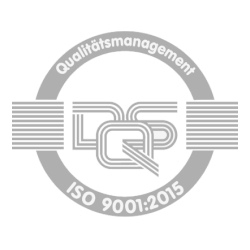 DQS Logo